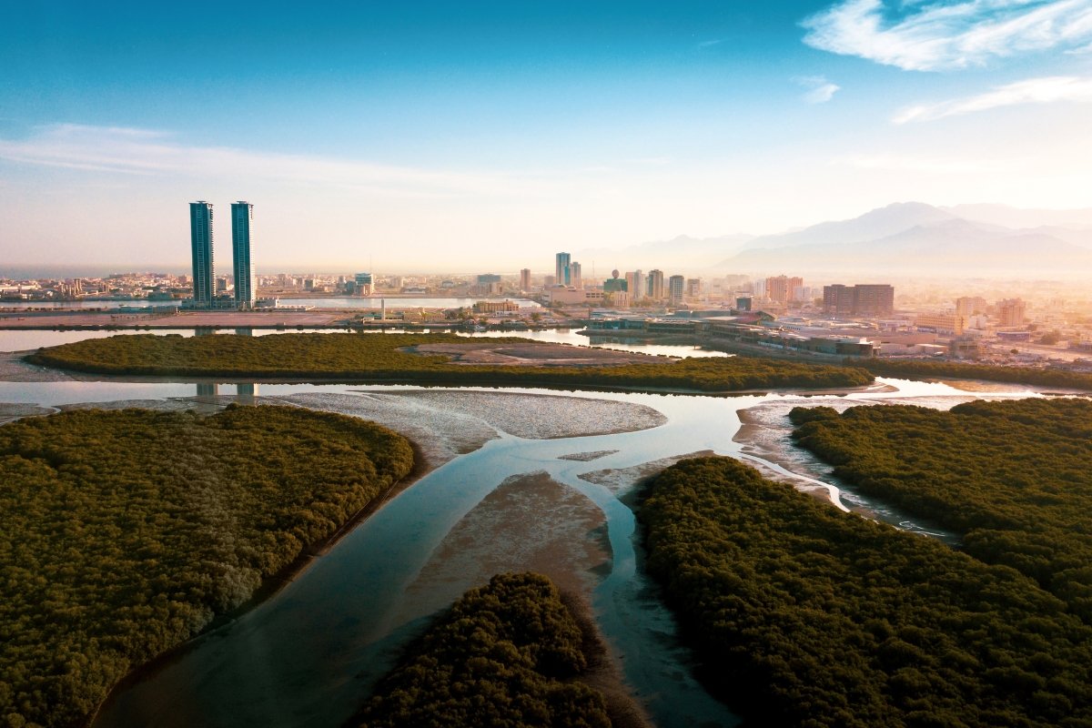 Ras Al Khaimah city and mangroves
